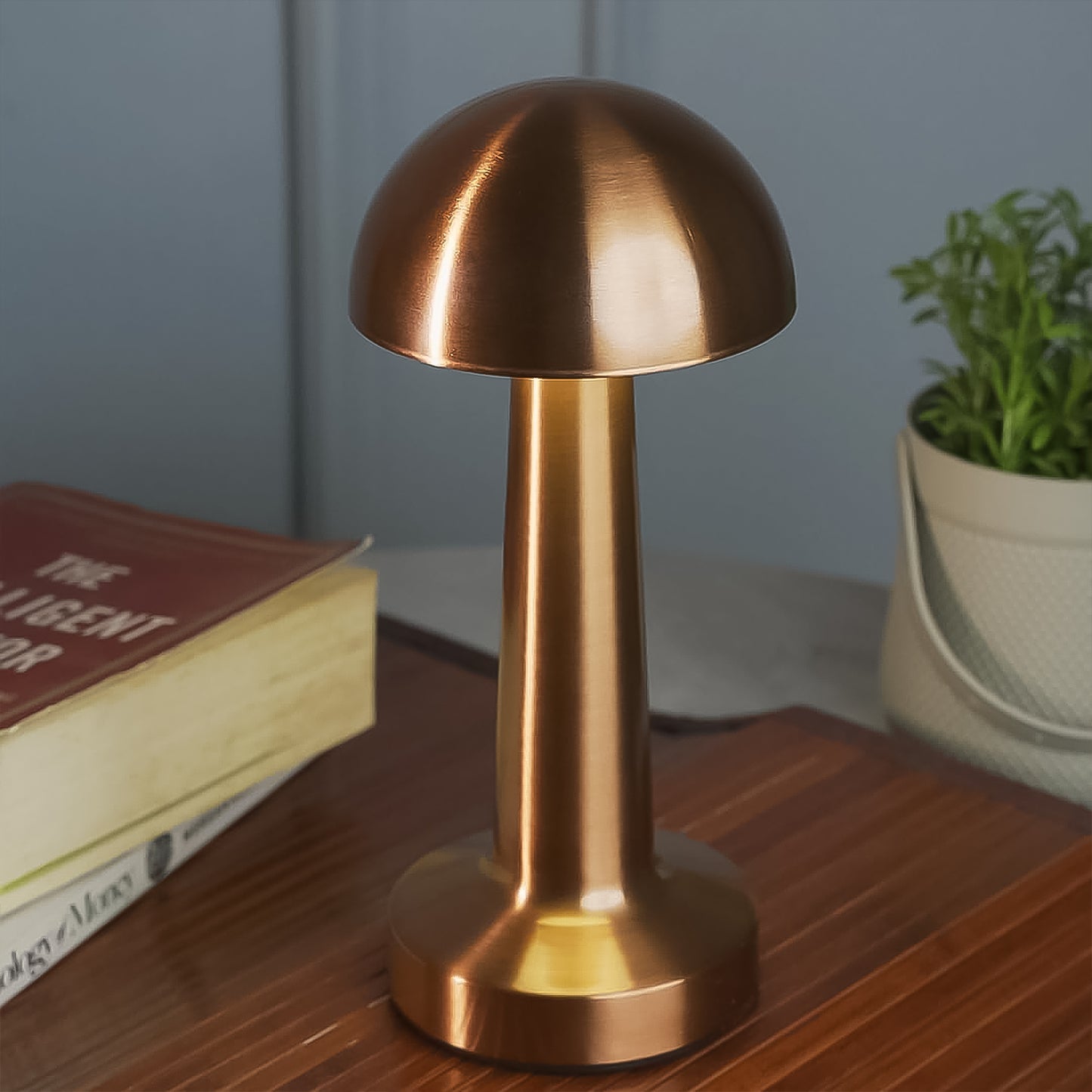 Touch Control Decorative Desk Lamp